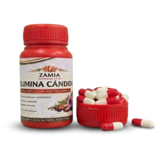 Zamia Naturaleza Latina Elimina Candida